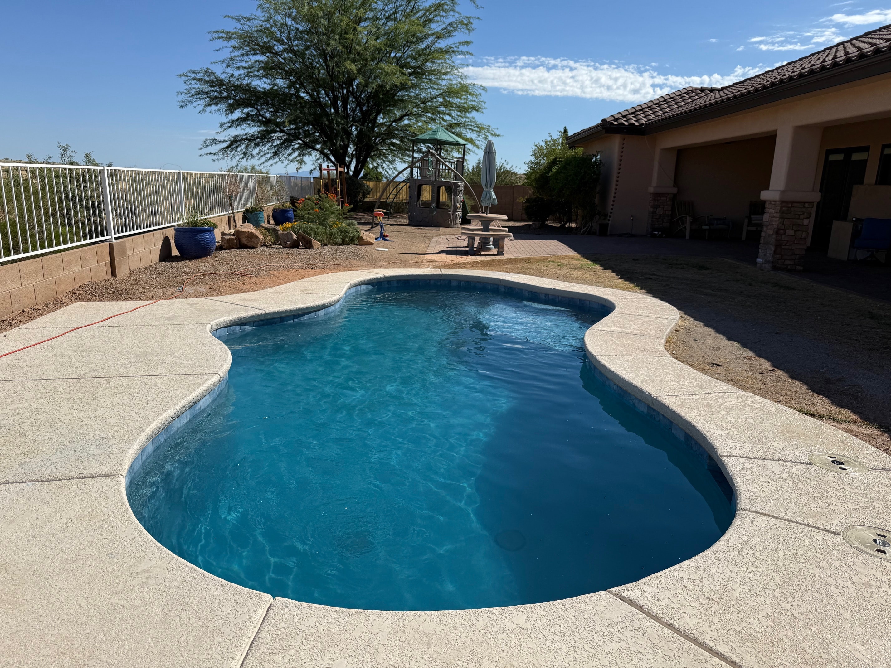 Desert Oasis freeform pool with tropical landscaping